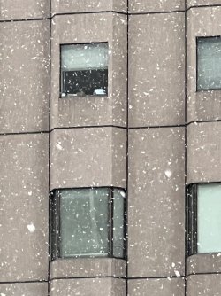 IMG_9474.jpeg IMG_9474.jpeg