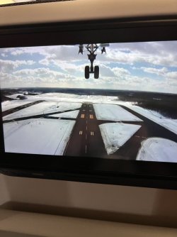 IMG_9489.jpeg IMG_9489.jpeg
