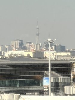 IMG_9512.jpeg IMG_9512.jpeg