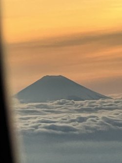 IMG_9526.jpeg IMG_9526.jpeg
