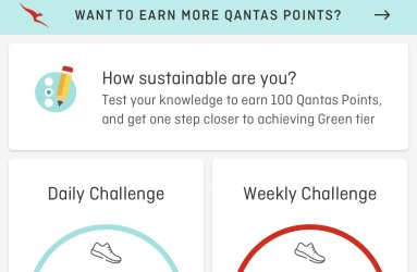 IMG_3100.jpeg IMG_3100.jpeg