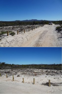 Snip 6.JPG Snip 6.JPG