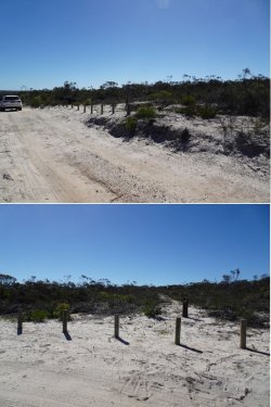 Snip 7.JPG Snip 7.JPG