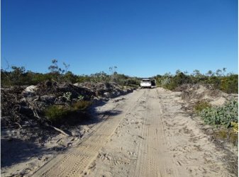 Snip 8.JPG Snip 8.JPG