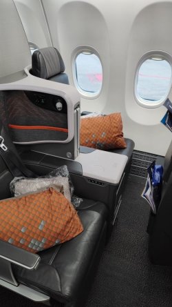 1707784915495.jpeg 1707784915495.jpeg