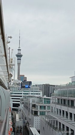 IMG_20240209_084813546.jpg IMG_20240209_084813546.jpg