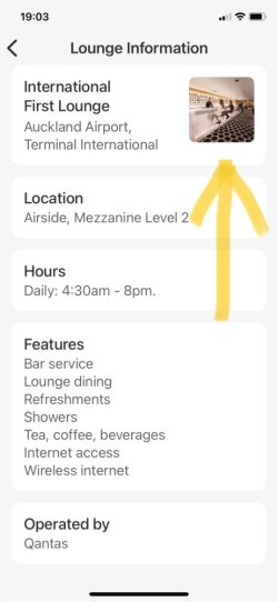 IMG_1136.jpeg IMG_1136.jpeg