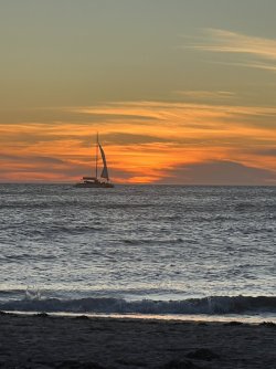 IMG_0742.JPG IMG_0742.JPG