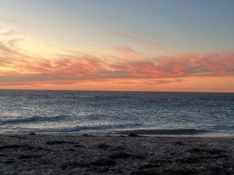 IMG_0750.JPG IMG_0750.JPG