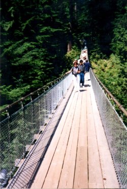 IMG_20240219_154631.jpg IMG_20240219_154631.jpg