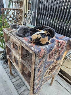 2024-02-19 16.06.51.jpg 2024-02-19 16.06.51.jpg