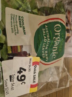 20240220_105246.jpg 20240220_105246.jpg