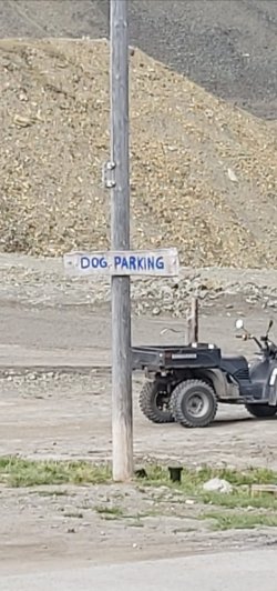 IMG_20240220_184726.jpg IMG_20240220_184726.jpg