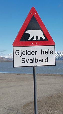 IMG_20240220_184648.jpg IMG_20240220_184648.jpg