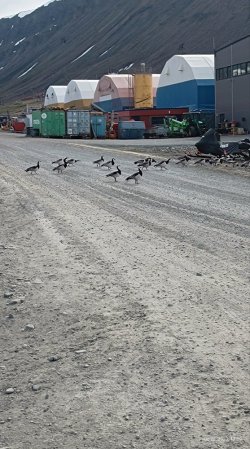 IMG_20240220_210323.jpg IMG_20240220_210323.jpg