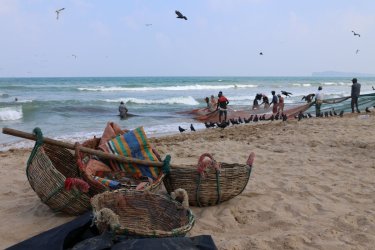 1X7A0281.jpg 1X7A0281.jpg