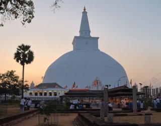 1X7A0231.JPG 1X7A0231.JPG