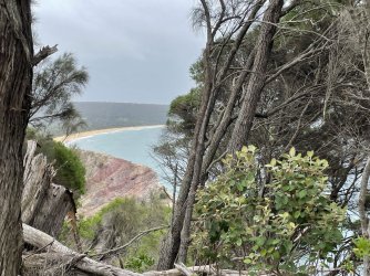 IMG_4060.jpeg IMG_4060.jpeg