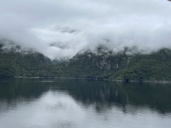 IMG_4065.jpeg IMG_4065.jpeg