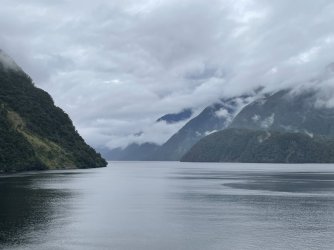 IMG_4066.jpeg IMG_4066.jpeg