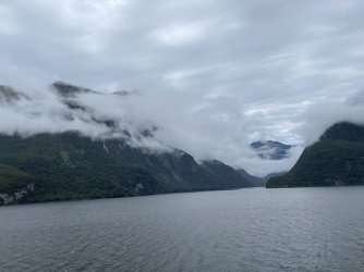 IMG_4074.jpeg IMG_4074.jpeg