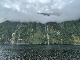 IMG_4083.jpeg IMG_4083.jpeg