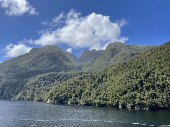 IMG_4086.jpeg IMG_4086.jpeg