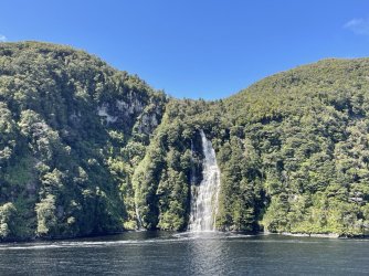 IMG_4088.jpeg IMG_4088.jpeg