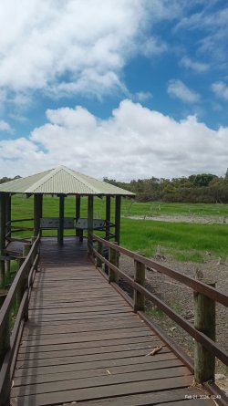 IMG_20240221_124319924.jpg IMG_20240221_124319924.jpg