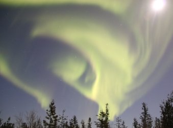 IMG_7114a.JPG IMG_7114a.JPG