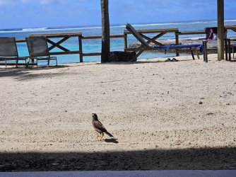 20240224_095124.jpg 20240224_095124.jpg