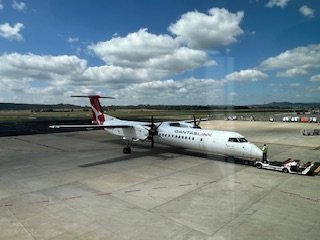 IMG_4975.jpeg IMG_4975.jpeg