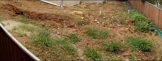 1708942641527.png 1708942641527.png