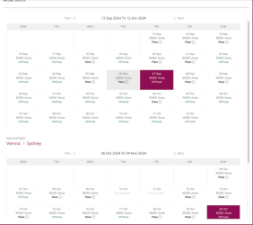 Screen Shot 2024-02-28 at 10.43.55 pm.png