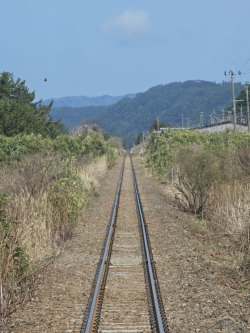 1709301125319.png 1709301125319.png