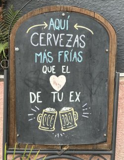 IMG_3462.jpeg IMG_3462.jpeg