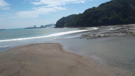 1709374124426.jpeg 1709374124426.jpeg