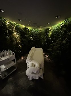 IMG_3103.JPEG IMG_3103.JPEG