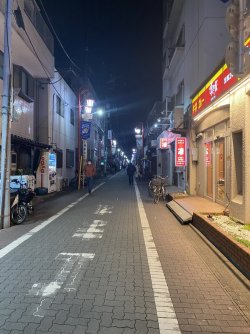 IMG_8560.JPEG IMG_8560.JPEG