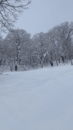 IMG_8719-ezgif.com-video-to-gif-converter (1).gif