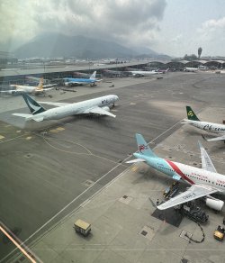 IMG_4352.jpeg IMG_4352.jpeg