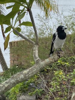 IMG_7675.jpeg IMG_7675.jpeg