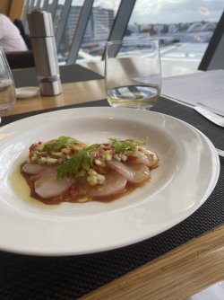 IMG_4981.jpeg IMG_4981.jpeg