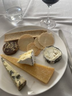 IMG_5006.jpeg IMG_5006.jpeg