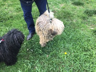 IMG_7328.jpeg IMG_7328.jpeg