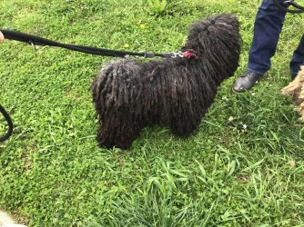 IMG_7327.jpeg IMG_7327.jpeg