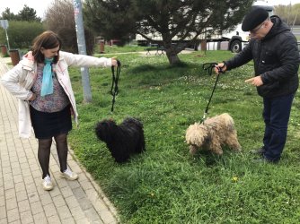 IMG_7326.jpeg IMG_7326.jpeg