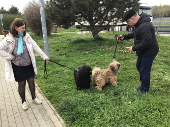 IMG_7325.jpeg IMG_7325.jpeg