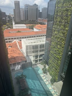 IMG_8618.jpeg IMG_8618.jpeg