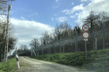 IMG_7365.jpeg IMG_7365.jpeg